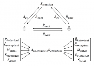 Anastomotic reticulum 2