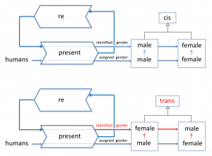 Humans representing as cis or trans