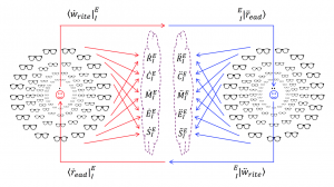 Read-write loop through anastomotic reticulum