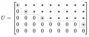 The nonzero entries of a typical echelon matrix