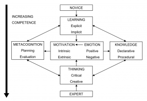 Fig 4 - The transformation from novice to expert