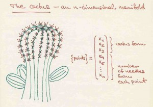 The-cactus